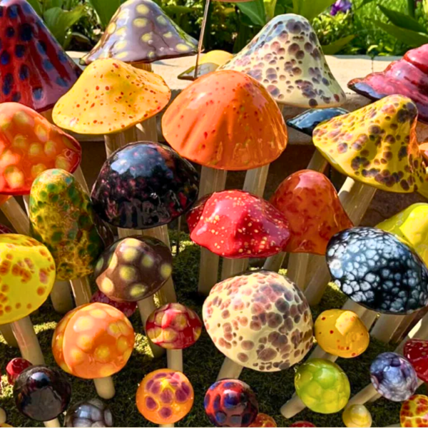 Fall Shroomyz