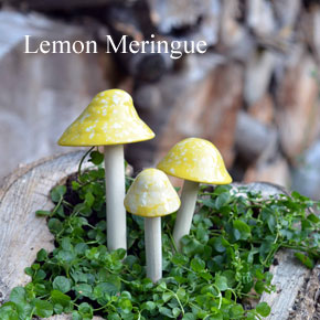 Mushroom Vintage Versatile Mountains and Forests Crystal PET