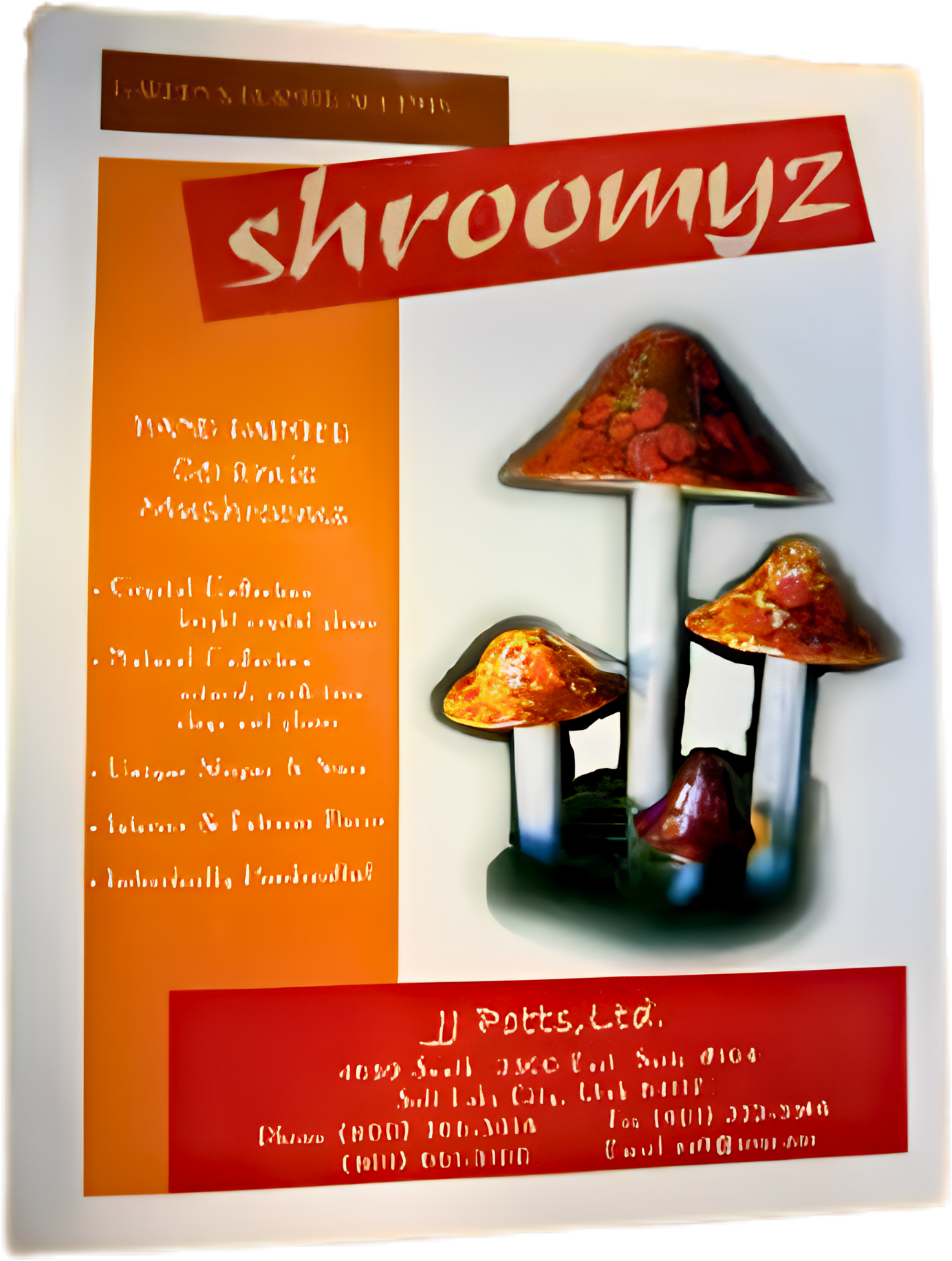 Original Shroomyz catalog from the family garage era