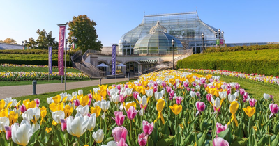Phipps Conservatory